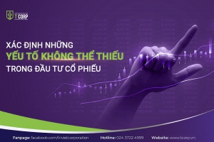 ĐẦU TƯ CỔ PHIẾU KHÔNG THỂ THIẾU NHỮNG YẾU TỐ NÀY
